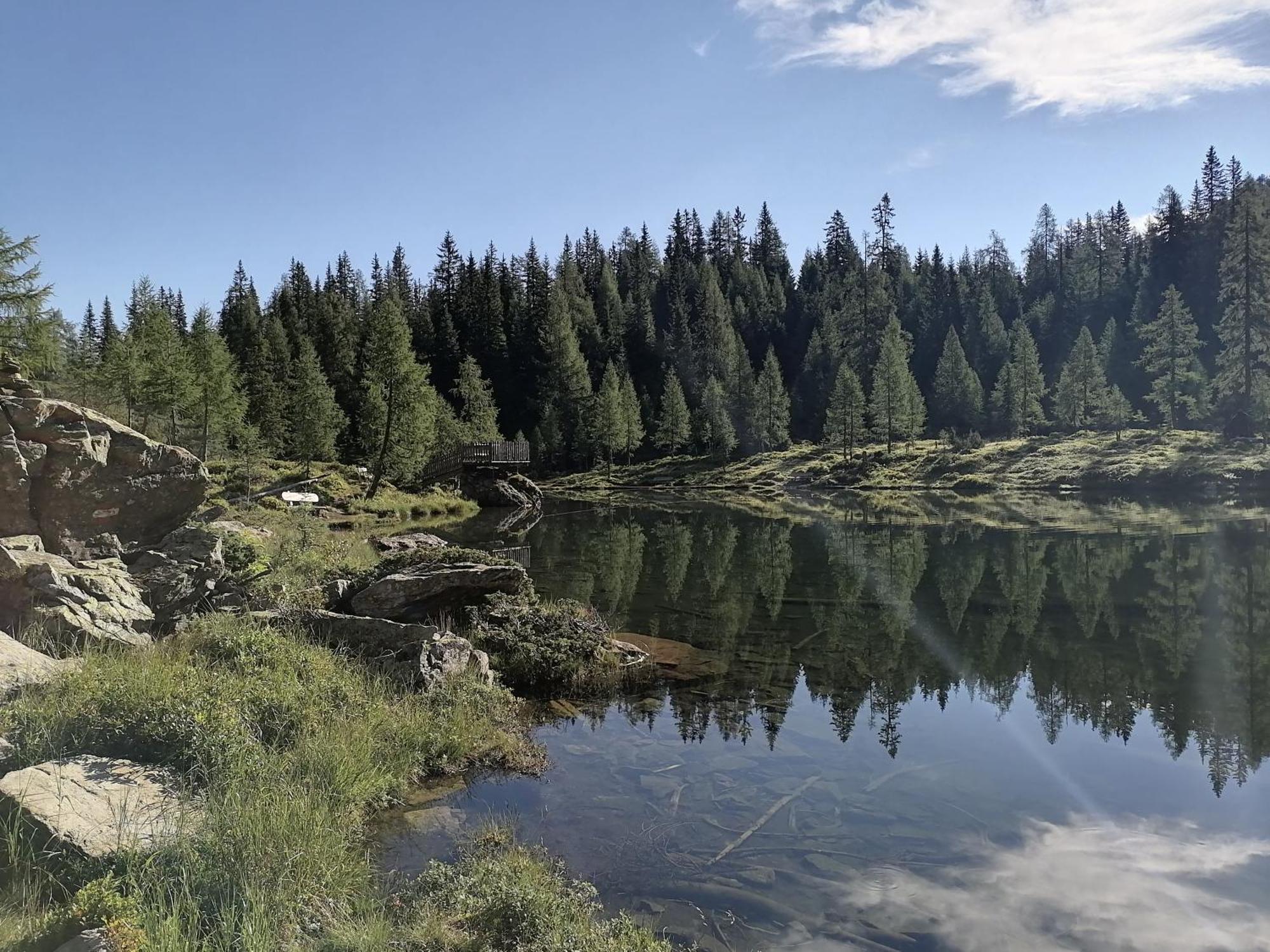 Haus Bergzauber Apartment Ramsau am Dachstein Cameră foto